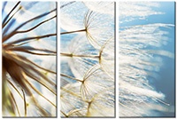 Tableau  3 panneaux