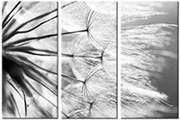 Tableau  3 panneaux