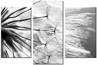 Tableau  3 panneaux