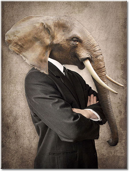 tableau sur toile, abstrait-fantaisie, animaux, animaux-sauvages, art, art-contemporain, beige, blanc, drole, elephants, gris, marron, noir, orange, sepia