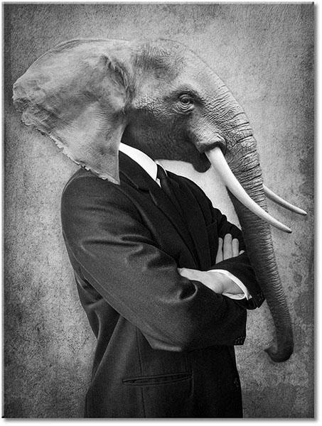 tableau sur toile, abstrait-fantaisie, animaux, animaux-sauvages, art, art-contemporain, beige, blanc, drole, elephants, gris, marron, noir, orange, sepia