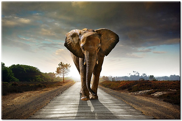 tableau sur toile, abstrait-fantaisie, animaux, animaux-sauvages, beige, bleu, ciel, elephants, gris, marron, nuages, orange, routes, vert
