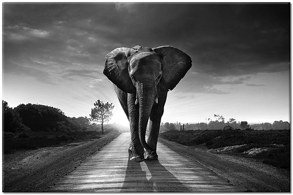tableau sur toile, abstrait-fantaisie, animaux, animaux-sauvages, beige, bleu, ciel, elephants, gris, marron, nuages, orange, routes, vert