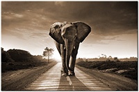 Version: sepia