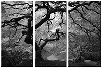 Tableau  3 panneaux