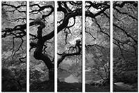 Tableau  5 panneaux