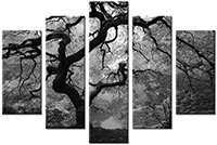 Tableau  5 panneaux