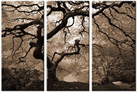 Tableau  3 panneaux