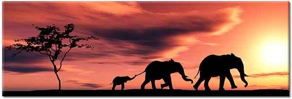 tableau sur toile, afrique, animaux, animaux-sauvages, arbres, autres-paysages, blanc, elephants, jaune, noir, orange, paysages, rouge, silhouettes, soleil, violet