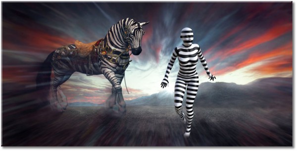 tableau sur toile, abstrait-fantaisie, blanc, gris, noir, noir-et-blanc, orange, rouge