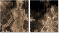 Tableau  2 panneaux