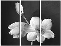 Tableau  3 panneaux