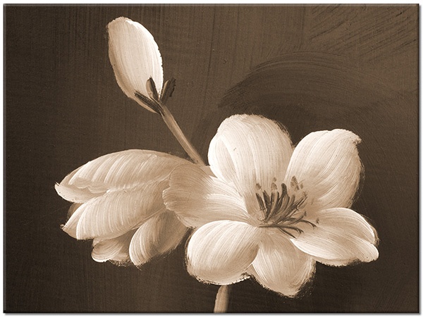 tableau sur toile, art, beige, blanc, fleurs, marron, nature-morte, nature-morte-autres-peintures, peintures