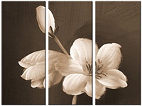 Tableau  3 panneaux