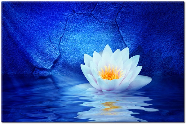 tableau sur toile, blanc, bleu, eau, feng-shui-zen, fleurs, jaune, lotus, miroir, orange