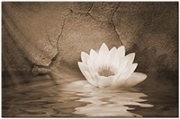 Version: sepia