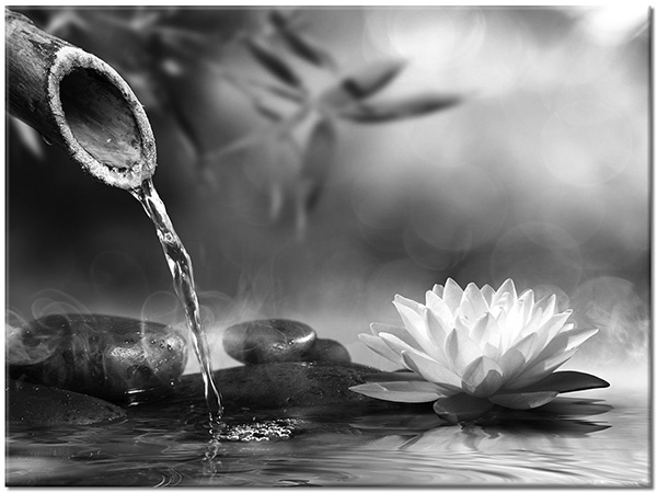 tableau sur toile, bambou, blanc, eau, feng-shui-zen, fleurs, gris, lotus, noir, pierres, vert, violet