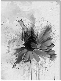 Version: noir-et-blanc