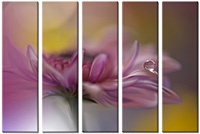 Tableau  5 panneaux