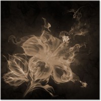 Version: sepia