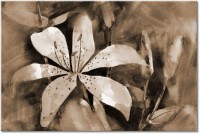 Version: sepia