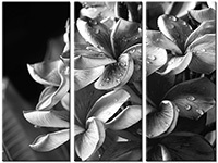Tableau  3 panneaux