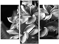 Tableau  3 panneaux