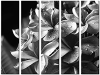 Tableau  5 panneaux