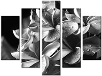Tableau  5 panneaux