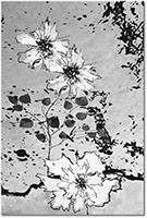 Version: noir-et-blanc