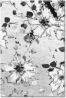 Version: noir-et-blanc