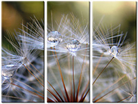 Tableau  3 panneaux