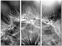 Tableau  3 panneaux