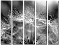 Tableau  5 panneaux