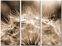 Tableau  3 panneaux