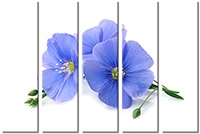 Tableau  5 panneaux