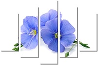 Tableau  5 panneaux