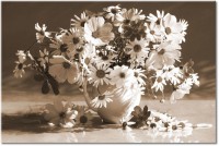 Version: sepia
