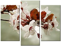 Tableau  3 panneaux