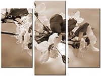 Tableau  3 panneaux