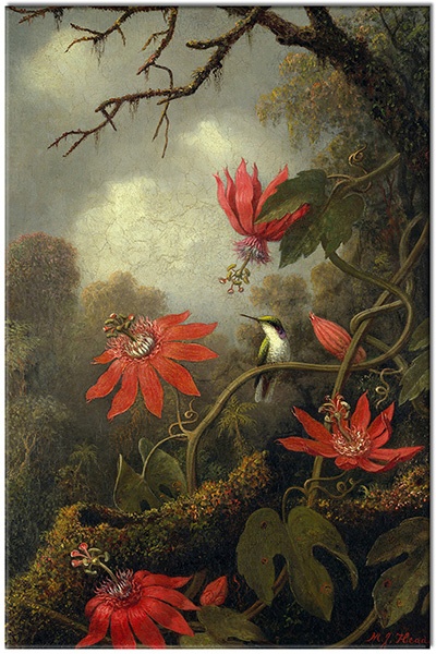 tableau sur toile, animaux, art, colibris, fleurs, gris, johnson-heade, marron, nature-morte-autres-peintures, oiseaux, oiseaux-poissons-insectes, peintures, rose, rouge, vert