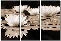 Tableau  3 panneaux