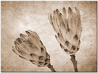 Version: sepia