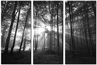 Tableau  3 panneaux