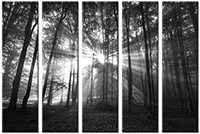 Tableau  5 panneaux