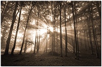 Version: sepia