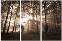 Tableau  3 panneaux