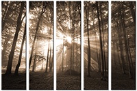 Tableau  5 panneaux