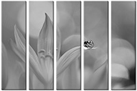 Tableau  5 panneaux