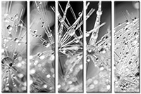 Tableau  5 panneaux
